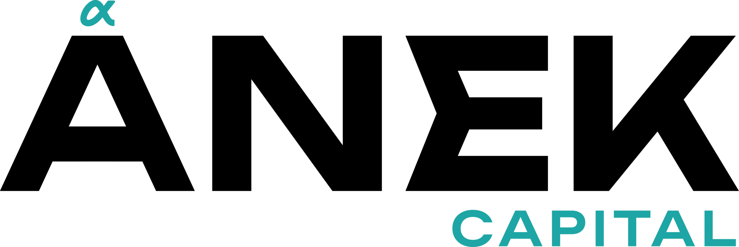 Anek - LOGO -09